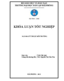 Khóa luận tốt nghiệp Đại học: Khảo sát khả năng hấp phụ Amoni của vật liệu đá ong biến tính