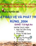 Thuyết trình Báo cáo chuyên đề: Luật bảo vệ và phát triển rừng 2004