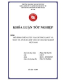 Khóa luận tốt nghiệp: Mô hình chiến lược' Đại dương xanh' và thực tế áp dụng đối với các doanh nghiệp Việt Nam