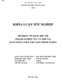 Khóa luận tốt nghiệp: Mở rộng tín dụng đối với doanh nghiệp vừa và nhỏ tại Ngân hàng TMCP Việt Nam Thịnh Vượng