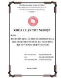 Khóa luận tốt nghiệp: Rủi ro tín dụng và một số giải pháp nhằm hạn chế rủi ro tín dung tại ngân hàng Đầu tư và phát triển Việt Nam