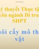 Lý thuyết thực tập Chuyên ngành Di truyền - SHPT: Nuôi cấy mô