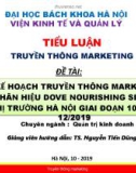 Thuyết trình Tiểu luận Truyền thông Marketing: Lập kế hoạch truyền thông Marketing cho nhãn hiệu Dove Nourishing Secrets tại thị trường Hà Nội giai đoạn từ tháng 10/2019 đến tháng 1/2020