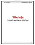 Tiểu luận: Luật tố tụng hình sự Việt Nam