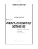 Tiểu luận: Công ty trách nhiệm hữu hạn một thành viên