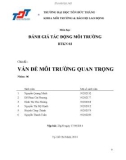 Báo cáo đánh giá tác động môi trường: Vấn đề môi trường quan trọng (nhóm 6)