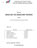 Báo cáo đánh giá tác động môi trường: Vấn đề môi trường quan trọng (nhóm 2)