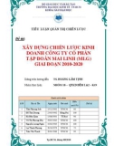 Tiểu luận Quản trị chiến lược: Xây dựng chiến lược kinh doanh công ty cổ phần tập đoàn Mai Linh (MLG) giai đoạn 2010-2020