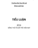 Tiểu luận: Sống thử ở giới trẻ hiện nay