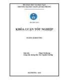 Khóa luận tốt nghiệp ngành Marketing: Giải pháp marketing nhằm mở rộng thị trường tại TTKD VNPT – Vinaphone Hải Phòng