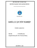 Khóa luận tốt nghiệp ngành Marketing: Giải pháp Marketing nhằm mở rộng thị trường cho Công ty TNHH Thương mại và Dịch vụ Toàn Phượng