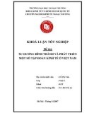 Khóa luận tốt nghiệp: Xu hướng hình thành và phát triển một số tập đoàn kinh tế ở Việt Nam