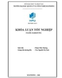 Khóa luận tốt nghiệp Marketing: Giải pháp marketing nhằm nâng cao hiệu quả hoạt động kinh doanh của Công ty cổ phần quốc tế đầu tư xây dựng Đại Việt