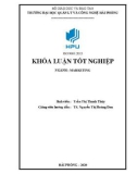 Khóa luận tốt nghiệp Marketing: Giải pháp hoàn thiện công tác Marketing tại công ty Cổ phần Dịch vụ Thương mại 3AE