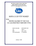 Khóa luận tốt nghiệp: Thương mại điện tử Việt Nam các giải pháp phát triển bền vững