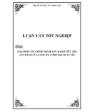 Luận văn tốt nghiệp: Giải pháp tài chính nhằm đẩy mạnh tiêu thụ sản phẩm của Công ty TNHH Thành Tuyên