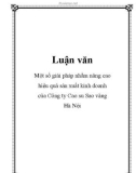 Luận văn: Một số giải pháp nhằm nâng cao hiệu quả sản xuất kinh doanh của Công ty Cao su Sao vàng Hà Nội