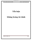 Tiểu luận kinh tế vĩ mô: Khủng hoảng tài chính