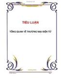 TIỂU LUẬN: TỔNG QUAN VỀ THƯƠNG MẠI ĐIỆN TỬ