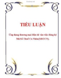 TIỂU LUẬN: Ứng dụng thương mại điện tử vào việc đăng ký Mã Số Thuế Cá Nhân(MSTCN)