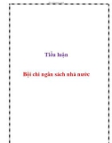 Tiểu luận: Bội chi ngân sách nhà nước