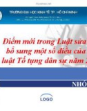 Tiểu luận: Điểm mới trong Luật sửa đổi bổ sung một số điều của Bộ luật Tố tụng dân sự năm 2004