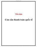 Tiểu luận: Cán cân thanh toán quốc tế