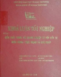 Khóa luận tốt nghiệp: Kiểm toán trong các doanh nghiệp có vốn đầu tư nước ngoài - Thực trạng và giải pháp