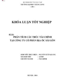 Khóa luận tốt nghiệp chuyên ngành Tài chính: Phân tích cấu trúc tài chính tại Công ty cổ phần địa ốc Sài Gòn