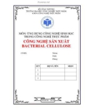 Tiểu luận môn Ứng dụng công nghệ sinh học trong công nghệ thực phẩm: Công nghệ sản xuất Bacterial Cellulose