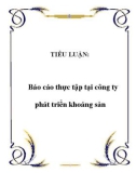 TIỂU LUẬN: Báo cáo thực tập tại công ty phát triển khoáng sản