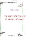 TIỂU LUẬN PHƯƠNG PHÁP TÍNH CHỈ SỐ TRONG THỐNG KÊ