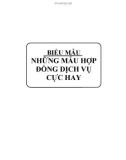 Những mẫu hợp đồng dịch vụ cực hay