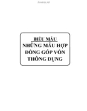 Những mẫu hợp đồng góp vốn thông dụng