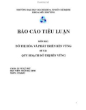 Báo cáo tiểu luận: Quy hoạch đô thị bền vững