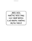 Những mẫu phụ lục hợp đồng lao động thông dụng nhất