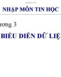 Bài giảng Nhập môn tin học - Chương 3: Biểu diên dữ liệu