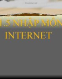 Bài giảng Nhập môn Internet