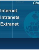 Bài giảng Nhập môn hệ thống thông tin - Bài 7 (tt): Internet - Intranets - Extranet