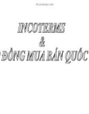 Hợp đồng mua bán quốc tế Incoterms