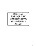 Tập hợp các mẫu hợp đồng mua bán hay nhất