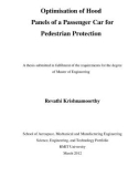 Master's thesis of Engineering: Optimisation of hood panels of a passenger car for pedestrian protection