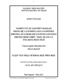 Luận văn Thạc sĩ Khoa học hoá học: Nghiên cứu sự tạo phức đa ligan trong hệ 1-(2-pyridylazo)-2-naphthol (PAN) - Bi (III) - CHCl2COOH bằng phương pháp chiết - trắc quang và ứng dụng phân tích