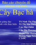 Báo cáo chuyên đề: Cây bạc hà