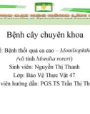 Báo cáo chuyên đề: Bệnh thối quả ca cao – Moniliophthora roreri (vô tính Monilia roreri)