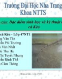 Báo cáo tiểu luận: : Đặc điểm sinh học và kỹ thuật nuôi cá Kèo