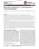 Molecular oncology focus - Is carcinogenesis a 'mitochondriopathy'?