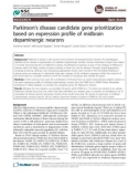 Parkinson's disease candidate gene prioritization based on expression profile of midbrain dopaminergic neurons