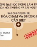 Báo cáo chuyên đề: Văn hóa Chăm và những điều cần biết