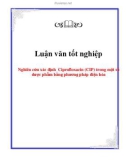 Luận văn tốt nghiệp: Nghiên cứu xác định Ciprofloxacin (CIP) trong một số dược phẩm bằng phương pháp điện hóa - Nguyễn Thu Thủy